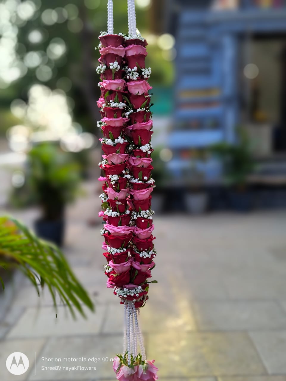 WhatsApp Image 2025-05-08 at 6.19