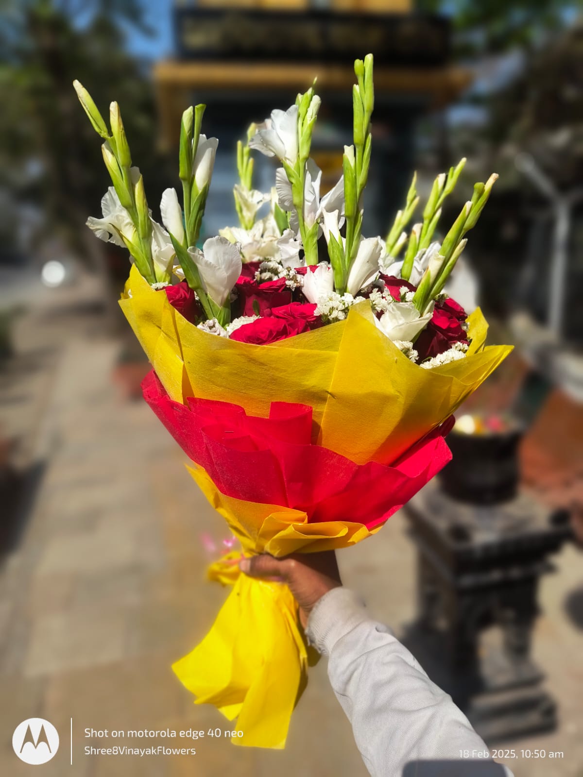 WhatsApp Image 2025-05-24 at 11.37