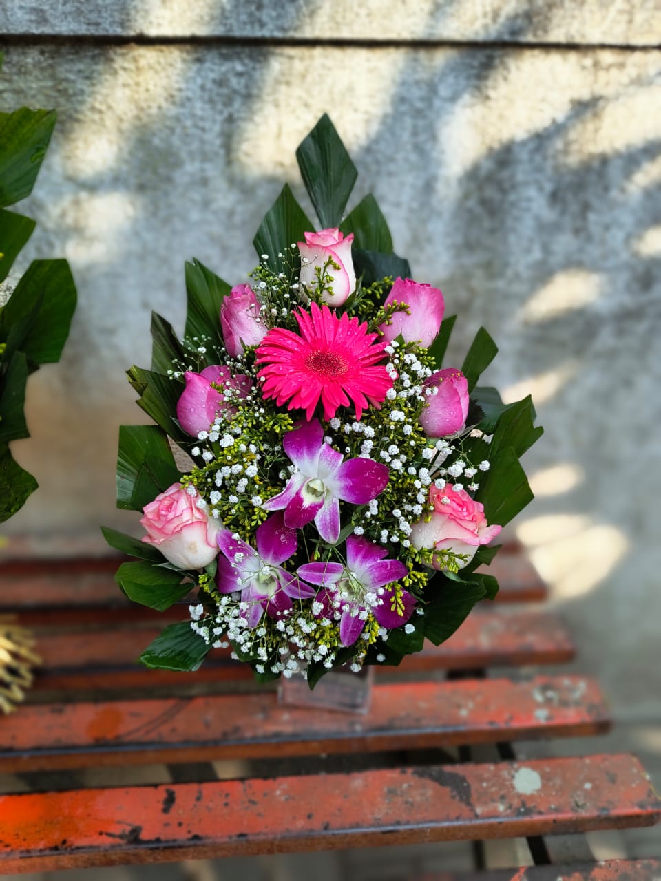 WhatsApp Image 2025-05-24 at 11.37