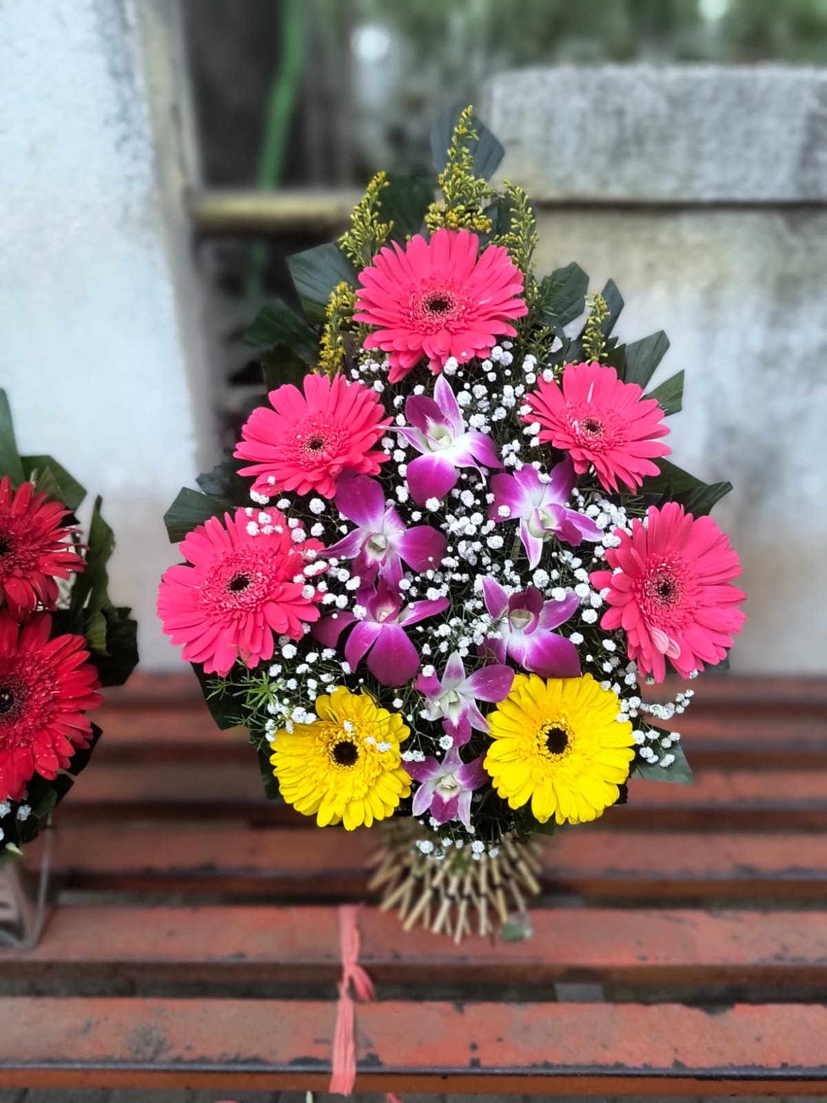 WhatsApp Image 2025-05-24 at 11.37