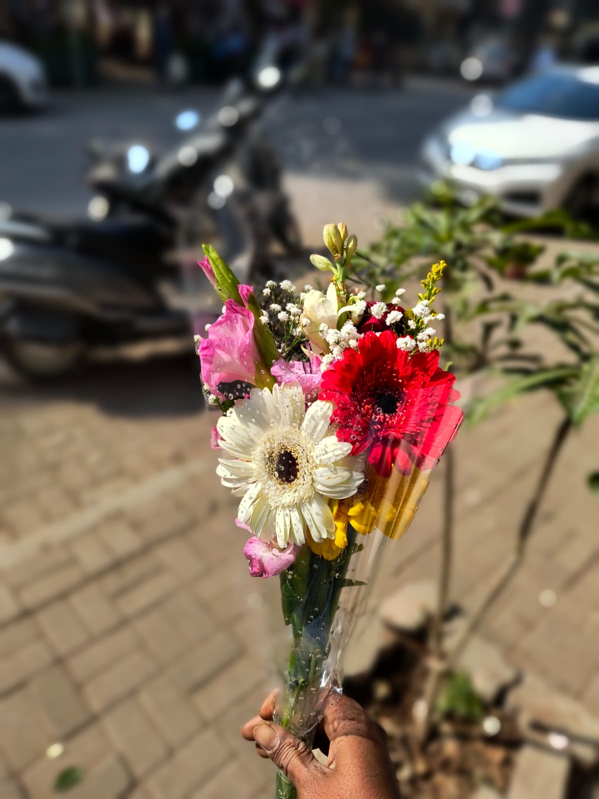 WhatsApp Image 2025-05-24 at 11.37