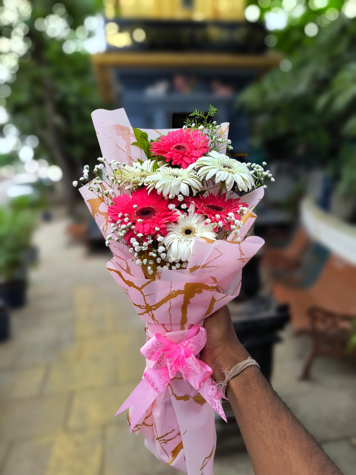 WhatsApp Image 2025-05-24 at 11.37