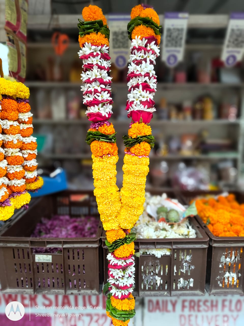 WhatsApp-Image-2025-05-11-at-6.01