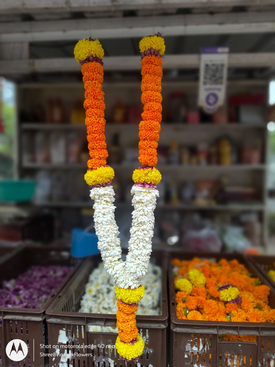 WhatsApp-Image-2025-05-11-at-6.02