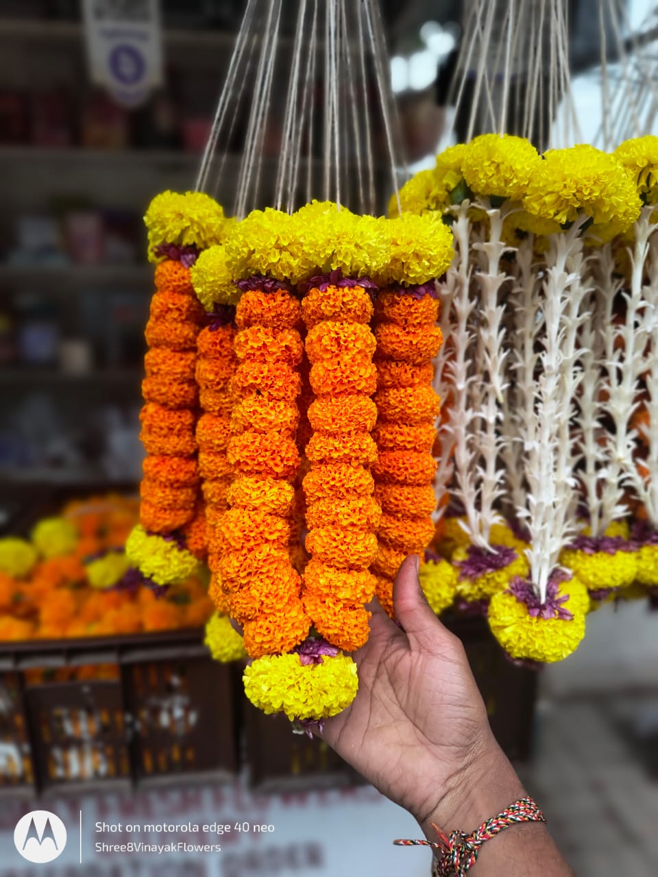 WhatsApp-Image-2025-05-11-at-6.03