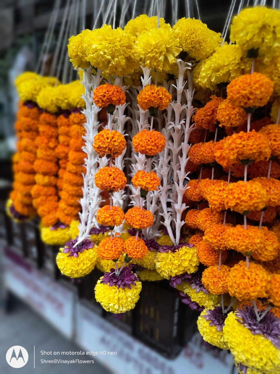 WhatsApp-Image-2025-05-11-at-6.03