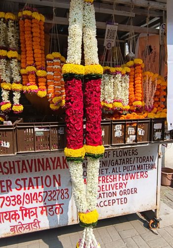 WhatsApp Image 2025-05-04 at 11.04.18 AM