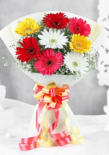 mixed-brilliance-gerbera-blossoms_1